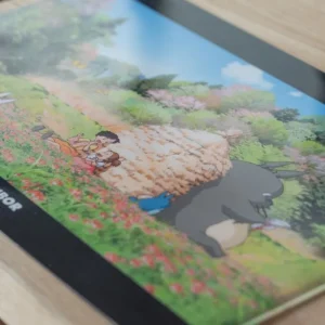 Maison Ghibli A4 size Clear Folder Afternoon - My Neighbour Totoro | Storage